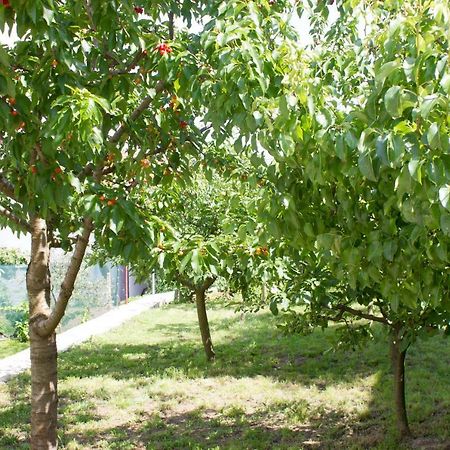 Villa Fig Zmijavci Екстериор снимка